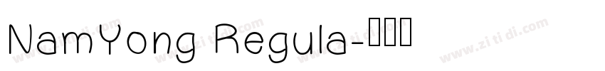 NamYong Regula字体转换